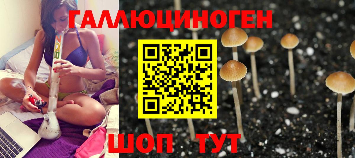 Новочебоксарск  Галлюциногенные грибы Cubensis  купить  сайты  Вход с VPN 