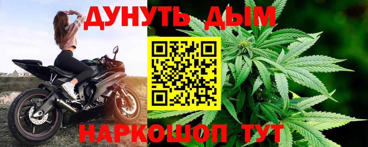 МАРИХУАНА сатива Новочебоксарск